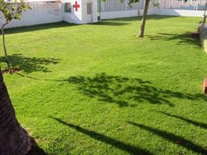 1162-foto%20tipo%2014%202009